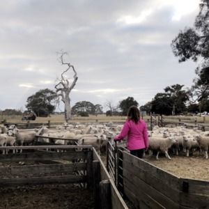 Meet your Posher, Minnie